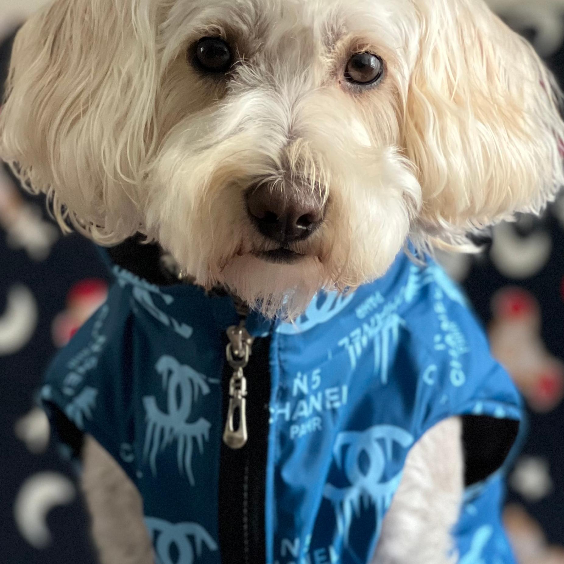 Chanel Dogs Vest Fluffy Friends Hoodie