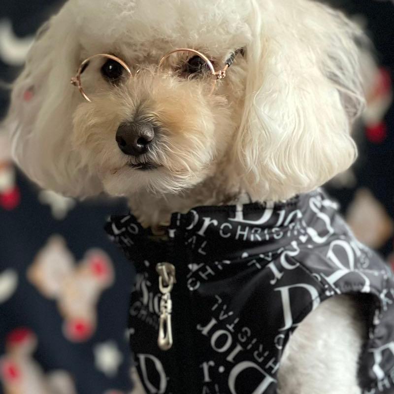 Dior Christal Dogs Vest