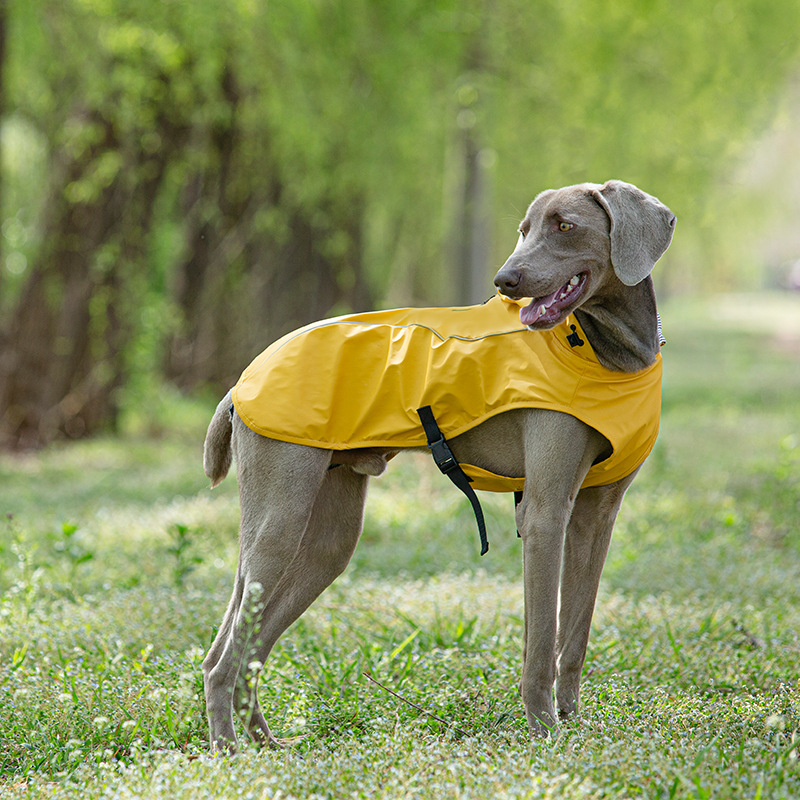 Puppy Reflective Strip PU RainCoat