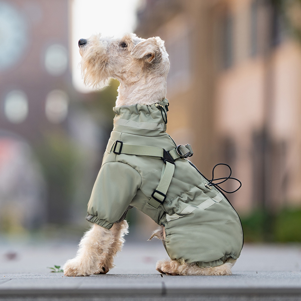 Waterproof Dog Jumpsuit